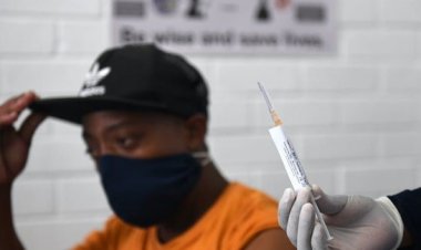 Explainer: how South Africa regulates medicines and vaccines